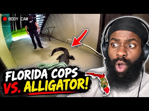 Florida man reacts to Florida cops face off against an ALLIGATOR 