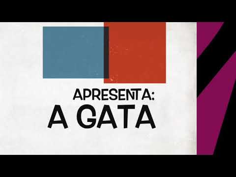 A GATA: 80 anos da Mulher-Gato (LIVRO)