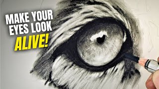 12 Simple Steps for Drawing Realistic Animal Eyes screenshot 3