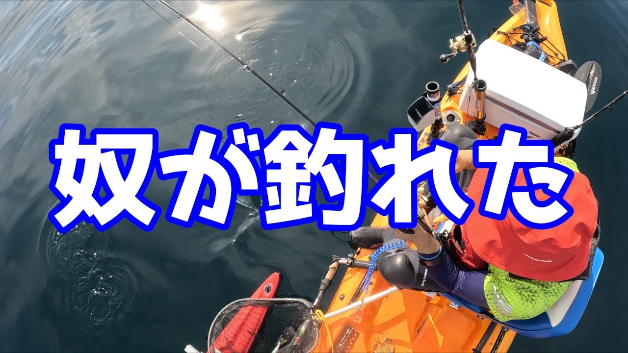 今度はやつが釣れた！（8浮き目）