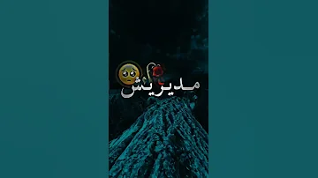 مديريش فسطوري عمري ايام صوري Tiktok Raimusic Rai 
