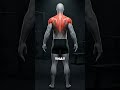 Why Your Back Still Looks Small (Fix This Fast)