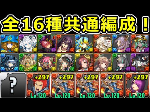 【条件クリア全対応】フェス限ヒロインコロシアムをシヴァドラで簡易周回！【パズドラ】