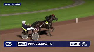 Vidéo de la course PMU PRIX CLEOPATRE