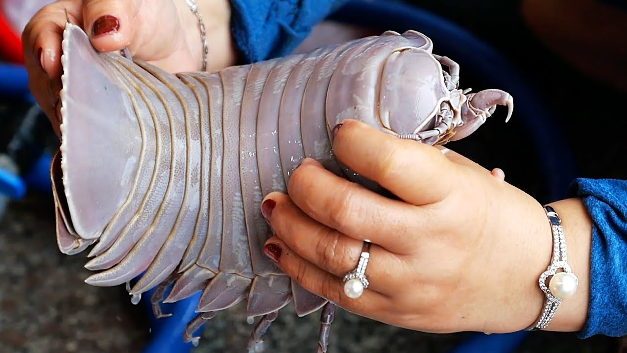 ГИГАНТСКИЙ ПИР ИЗ МОРЕПРОДУКТОВ Изоподы, Групер, Морские мидии, Моллюски Вьетнамская уличная еда