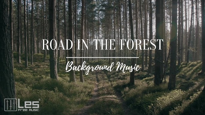 In The Forest 2 - Acoustic Background Music (Royalty Free) 