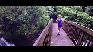 Wairere Falls HD