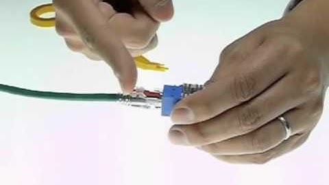 NTW netLock Lockable RJ45 Patch Cable - Secured Red Key Insert