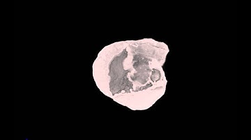 Geode - MicroCT (micro computed tomography) 3D X-Ray