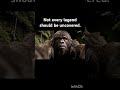 Not every legend should be uncovered.#LeaveBigfootAlone #RespectNature #MythNotMyth #yeti #ai #aiart