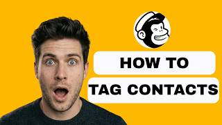 How To Tag Contacts In Mailchimp (full guide 2026)
