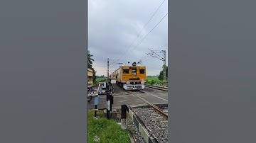 Emu local Skip Railgate #shorts