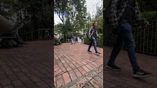 IMG 5245