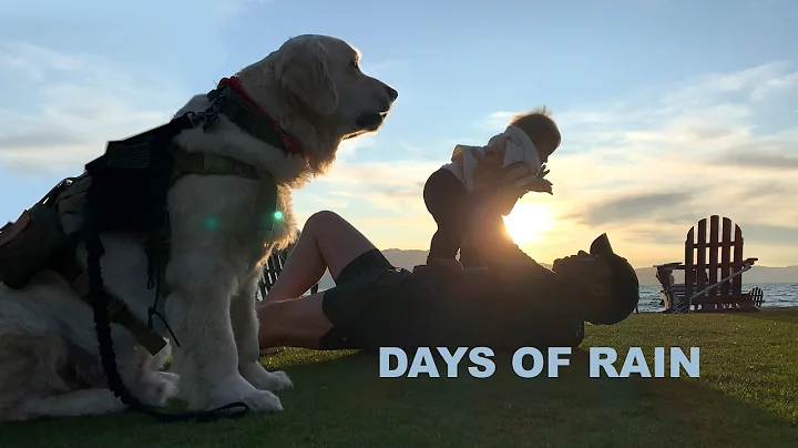 DAYS OF RAIN / 530 DAYS OF EMMARAIN WELLING