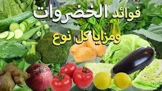 فوائد الخضروات وما يميز كل نوع / حسن صحتك