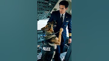 Brave Police Dog Saves Passengers From Plane Crash! #Rescue #animals #pets
