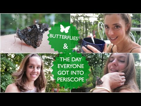 BUTTERFLIES & THE DAY EVERYONE GOT INTO PERISCOPE