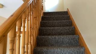 IMG 1141 1