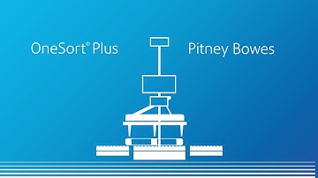 OneSort® Plus handles heavy weight and large dimension pallet-sized loads.