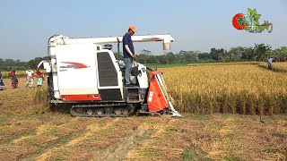 ধান কেটে মাড়াই করে বাড়ি পৌছে দেবে মেশিন-  নতুন জাপানী কম্বাইন হার্ভেস্টার( Combine Harvester)