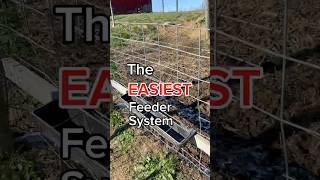 Hay feeder designs that make life easier #winter #mud #goat #attacks #hungry #easy #diy #cheap #farm Hay feeder designs that make life easier #winter #mud #goat #attacks #hungry #easy #diy #cheap #farm