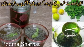 دو منٹ میں 50 گلاس شربت بنائیں۔صحت بخش ٹھنڈا شربت | Pudina Lemon Sharbat Recipe