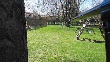 blue AGD Automag ULE shooting video