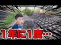 1年に1度だけ干上がる川で…