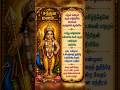 சந்தன மணத்தில் வந்தாய் முருகா… என் உள்ளம் நிறைந்த அருள் ❤️✨ #murugan #devotional #lordmurugan #tamil