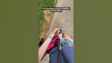 #blind #guidedog #visuallyimpaired