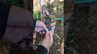 This Rope Trick Will Save You Time