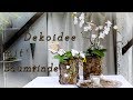 Dekoidee mit Baumrinde✔ |  DIY