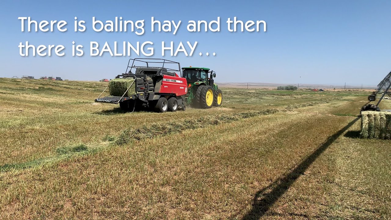 Farmington NM Baling Hay YouTube