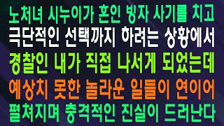 노처녀 시누이가 혼인 빙자 사기를 치고 극단적인 선택까지 하려는 상황에서 경찰인 내가 직접 나서게 되었는데 예상치 못한 놀라운 일들이 연이어 펼쳐지며 충격적인 진실이 드러난다