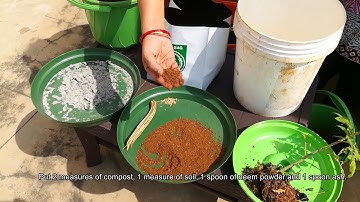 ಕನ್ನಡ: Growing Healthy Vegetables using Kitchen waste compost - Soil and health in Kannada
