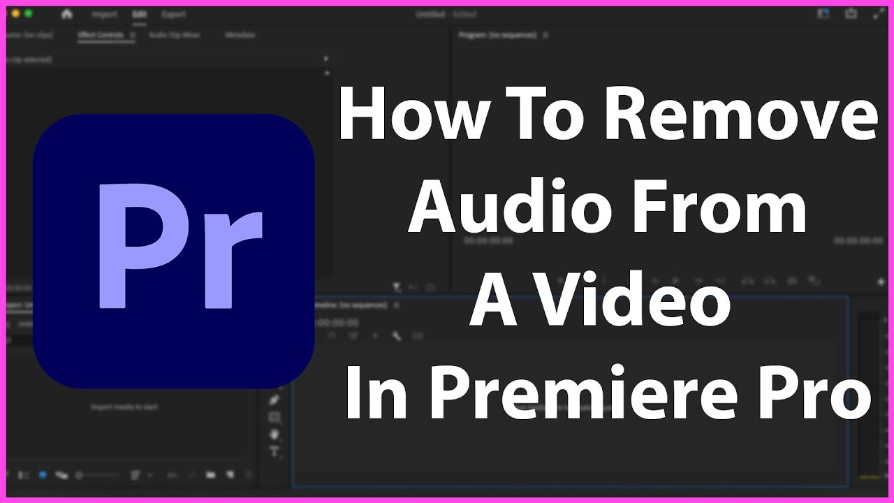 How To Remove Audio From A Video In Premiere Pro - YouTube