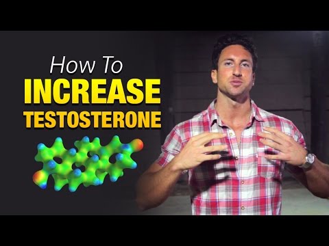 How To Increase Testosterone Naturally & Become An Alpha Monster!
