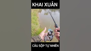 KHAI XUÂN CÂU SỘP TỰ NHIÊN TƯỞNG MÓM CƠ !!! - CÂU LURE CÁ LÓC #caulurecaloc #shorts