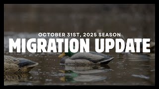 On the Move | October 31st, 2025: Waterfowl Migration Update | Pt. 5 Wealth