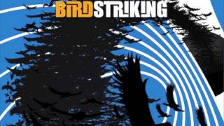 Birdstriking - Birdstriking (Full Album)