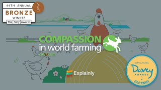 Compassion In World Farming: Chicken Farming | 2D Animated Explainer screenshot 5