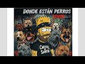 🎵TÍTULO: ¿DÓNDE ESTÁN PERROS? 🐕 (COVER) PPCDSALVC #carteldesanta RAP MEX🇲🇽