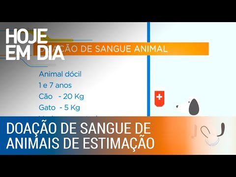 Vídeo: Os Humanos Agora Podem Doar Sangue Para Animais De Estimação