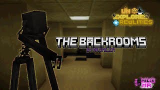 The Backrooms: Lvl-0 "UnExplored Realities" Preview screenshot 5