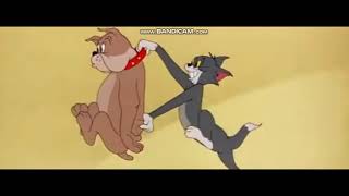 Scene For Thomas Tom Cat Kicks Hacker For Thecartoonman12