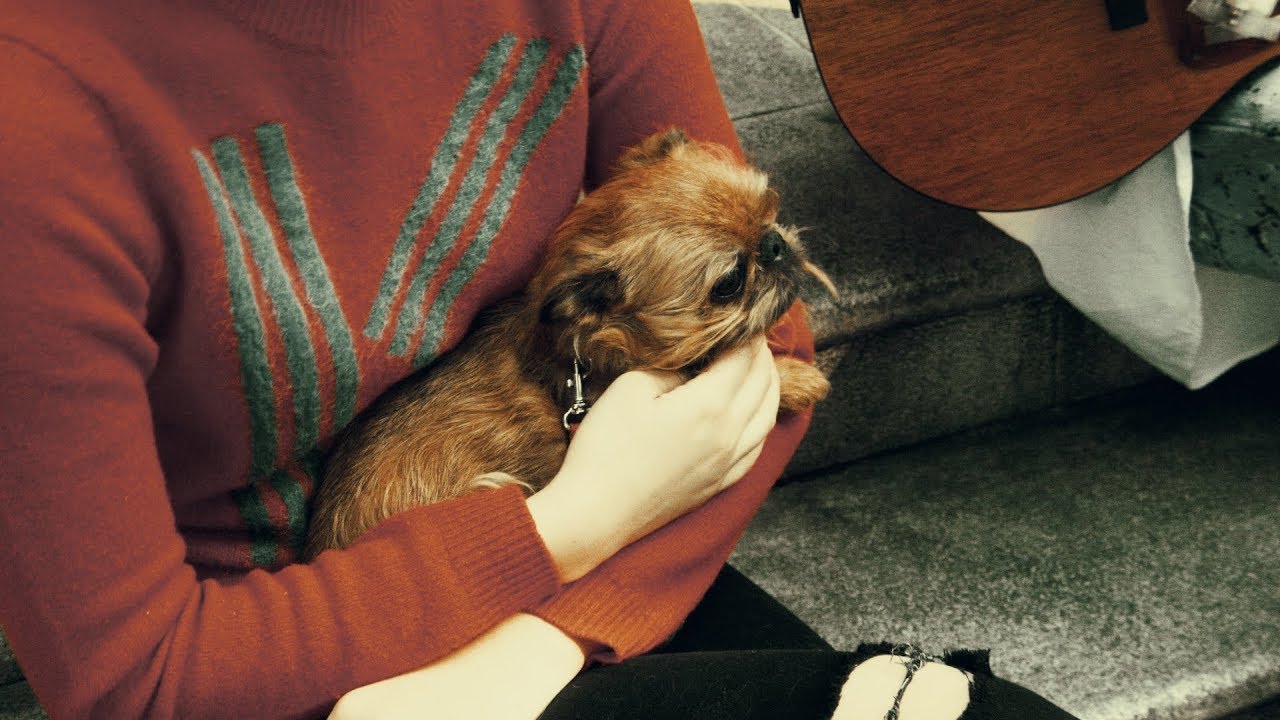 Fold Music | Field Session1