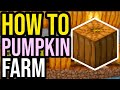 Easiest Automatic Pumpkin Farm In Minecraft Bedrock &amp; Java! (2026!)