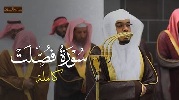 جمال منقطع النظير! || سورة فصلت كاملة لفضيلة الشيخ أ.د. ياسر الدوسري ممن تلاوات رمضان 1445 و 1446