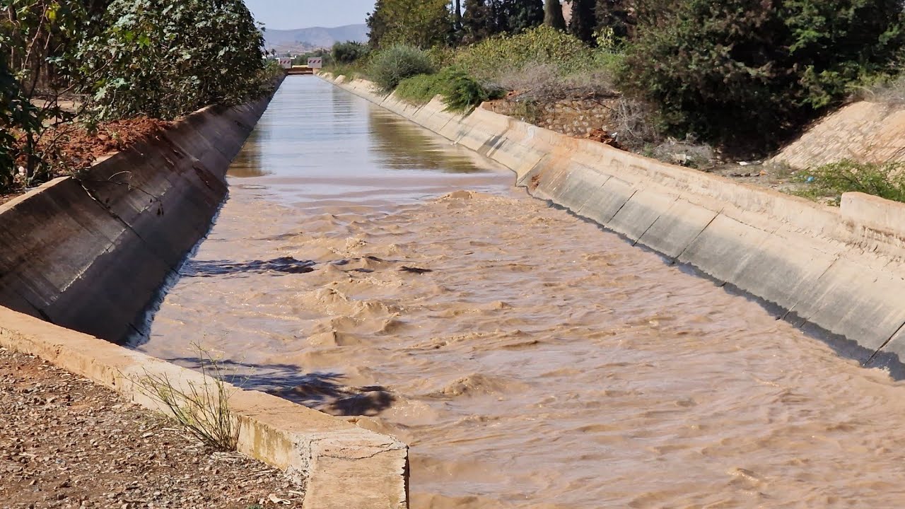 احوال فلاح بركان ساقية ملوية سلمانية