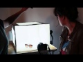 Como fazer sua mesa still ou caixa de luz